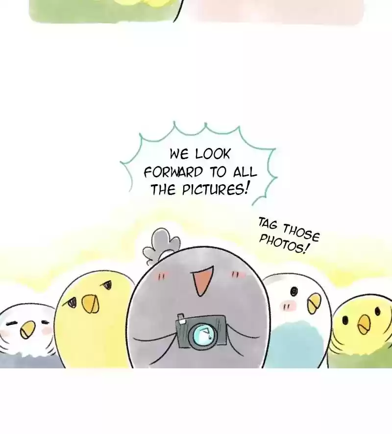 A Budgie's Life Chapter 53: Ep.53: