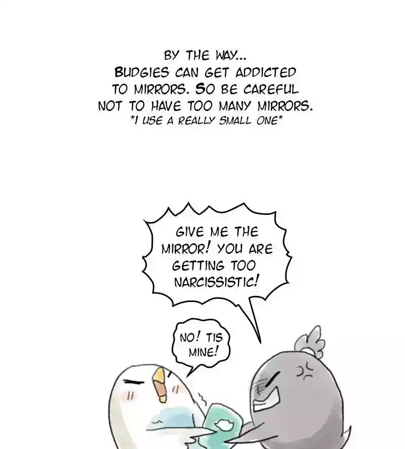 A Budgie's Life Chapter 53: Ep.53: