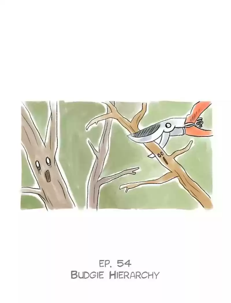 A Budgie's Life Chapter 54: Ep.54: