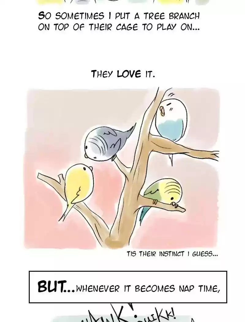 A Budgie's Life Chapter 54: Ep.54:
