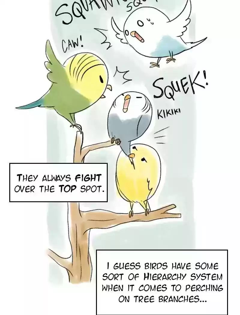 A Budgie's Life Chapter 54: Ep.54: