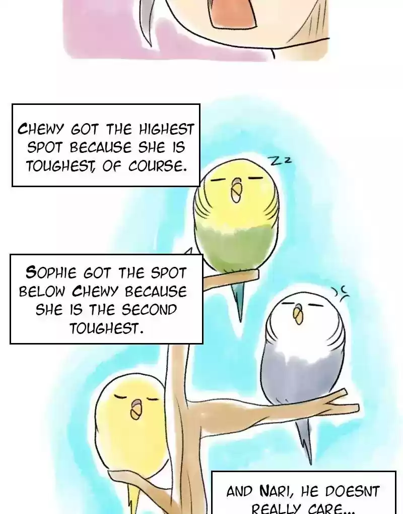 A Budgie's Life Chapter 54: Ep.54: