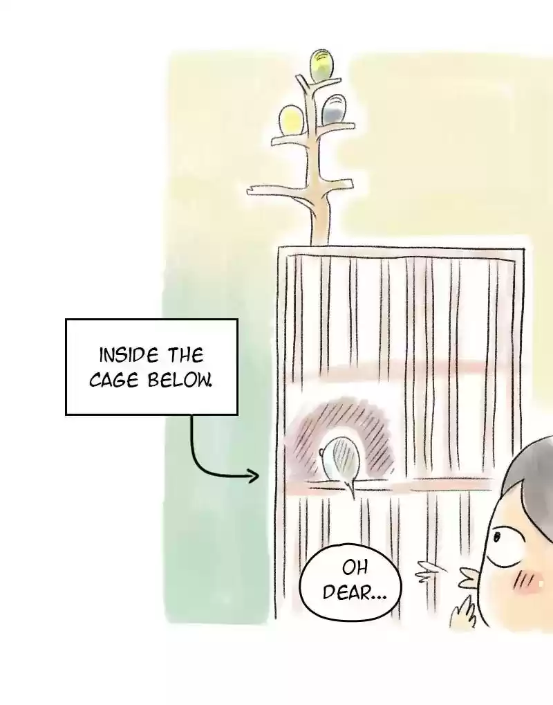 A Budgie's Life Chapter 54: Ep.54: