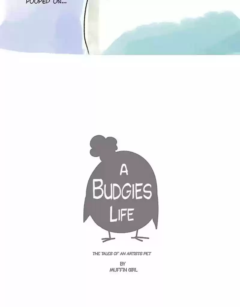 A Budgie's Life Chapter 54: Ep.54: