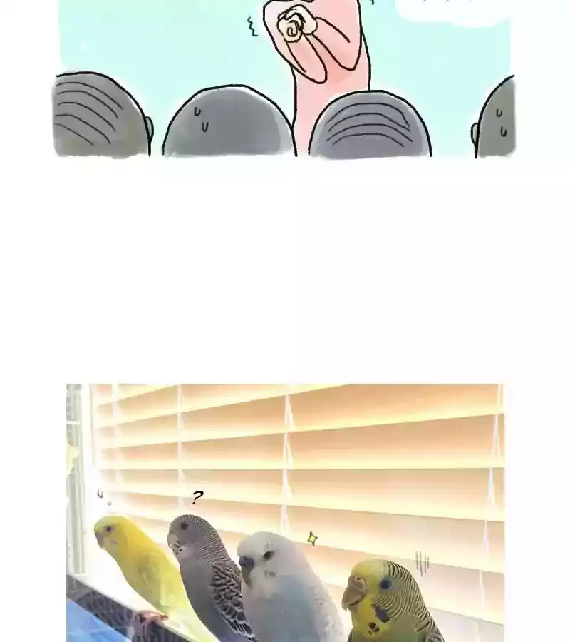A Budgie's Life Chapter 54: Ep.54: