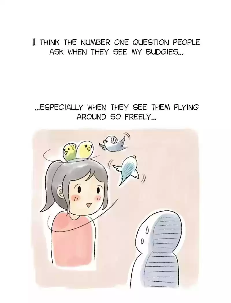 A Budgie's Life Chapter 55: Ep.55:
