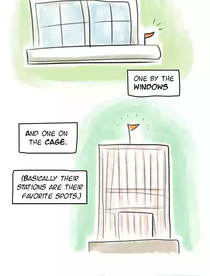 A Budgie's Life Chapter 55: Ep.55: