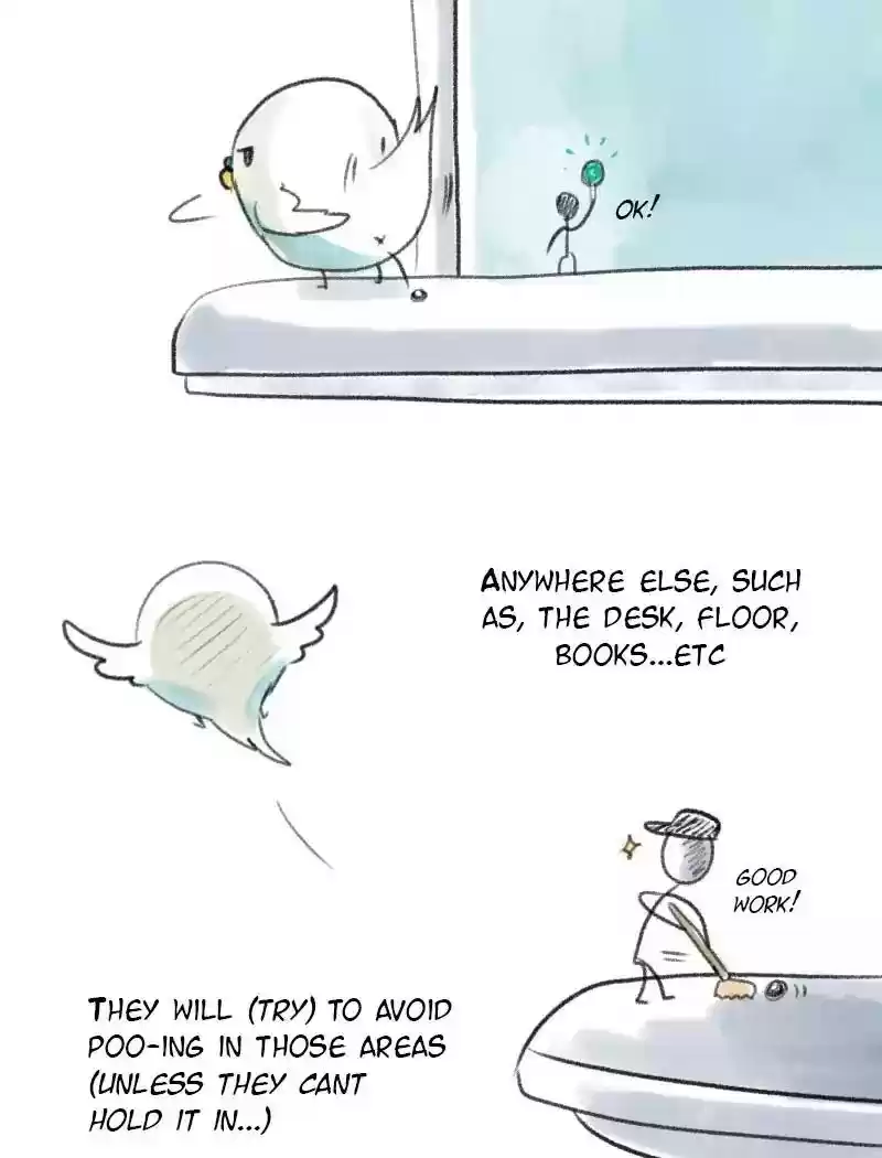 A Budgie's Life Chapter 55: Ep.55: