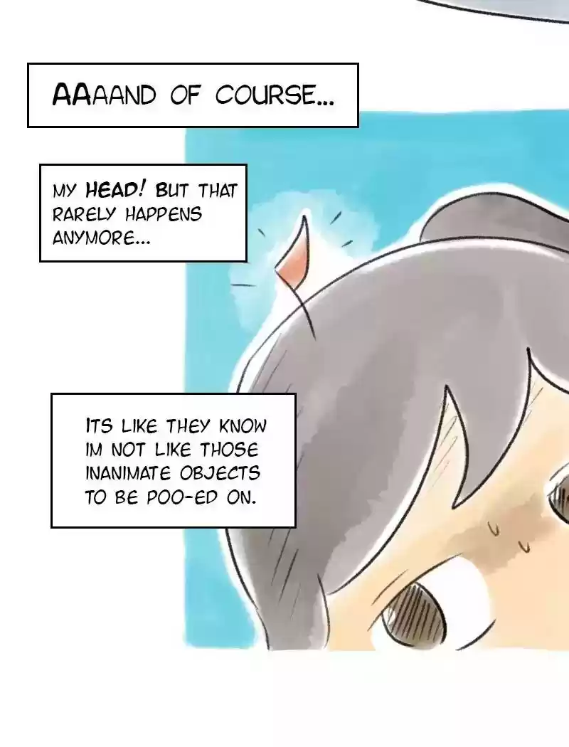 A Budgie's Life Chapter 55: Ep.55: