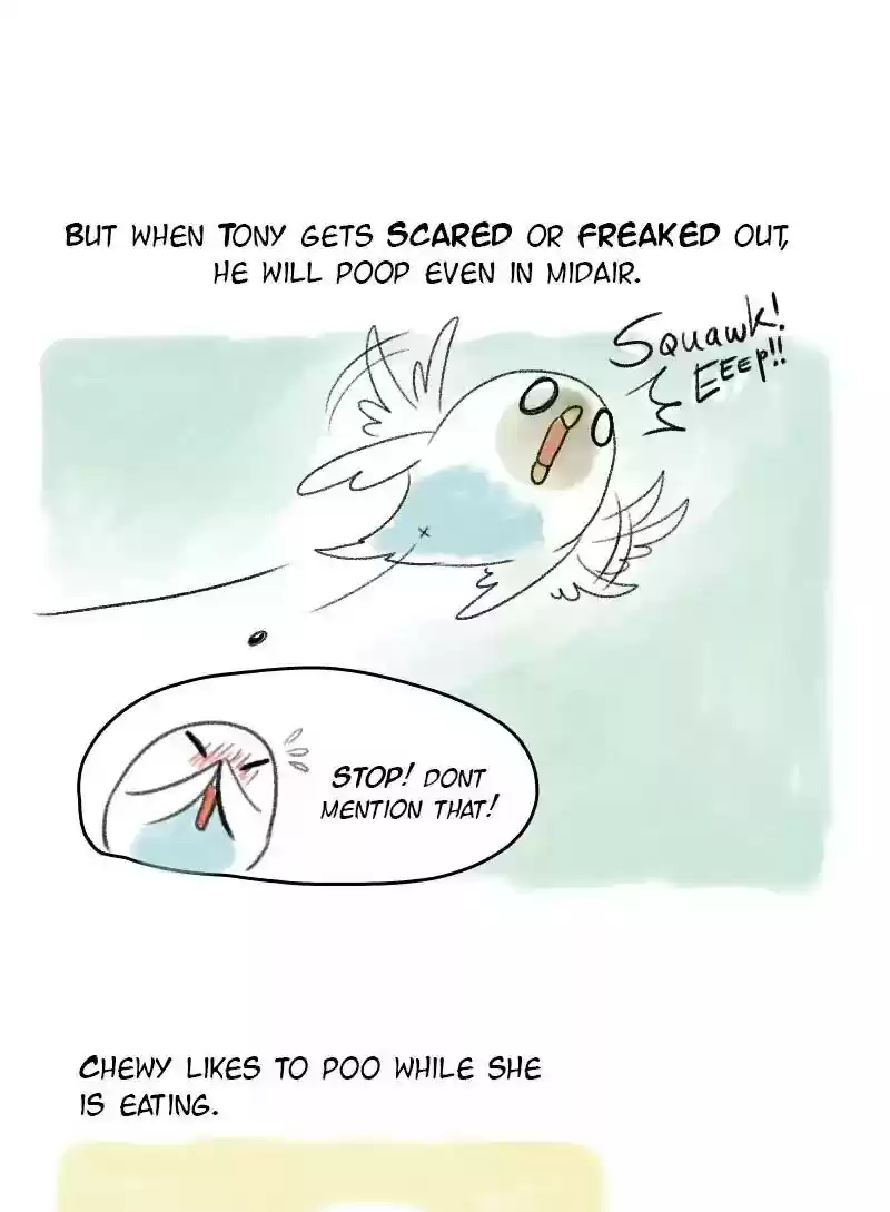 A Budgie's Life Chapter 55: Ep.55: