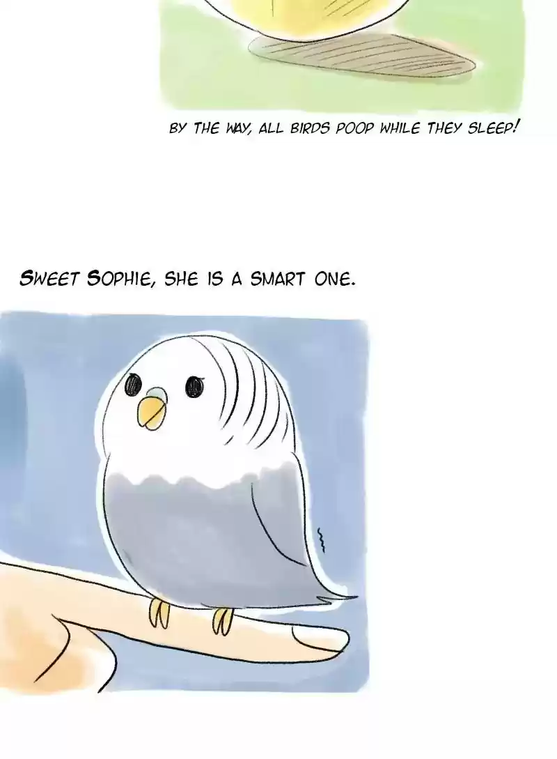 A Budgie's Life Chapter 55: Ep.55: