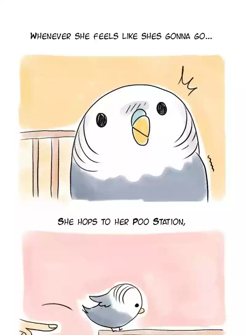 A Budgie's Life Chapter 55: Ep.55: