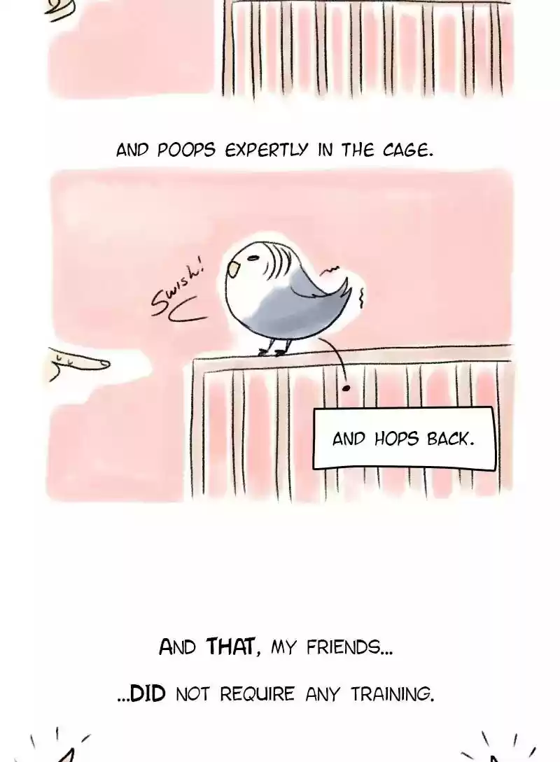 A Budgie's Life Chapter 55: Ep.55: