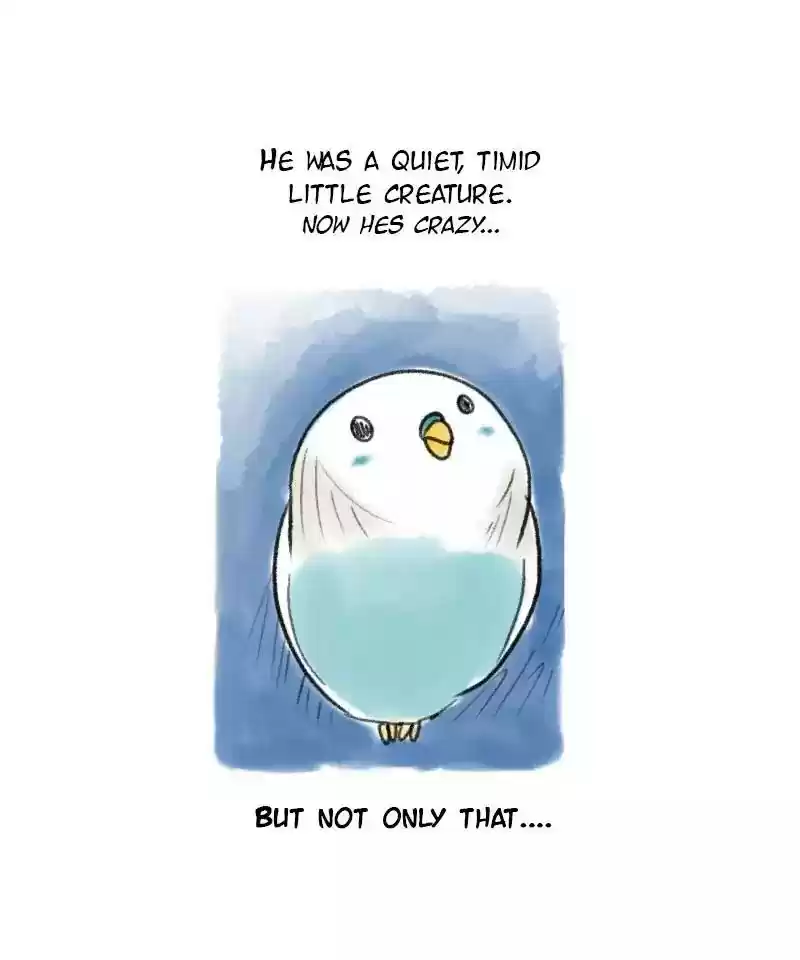 A Budgie's Life Chapter 56: Ep.56: