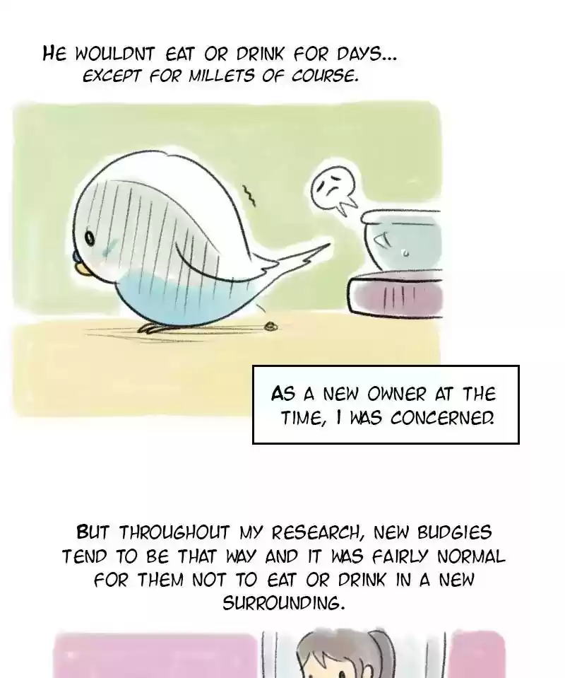 A Budgie's Life Chapter 56: Ep.56: