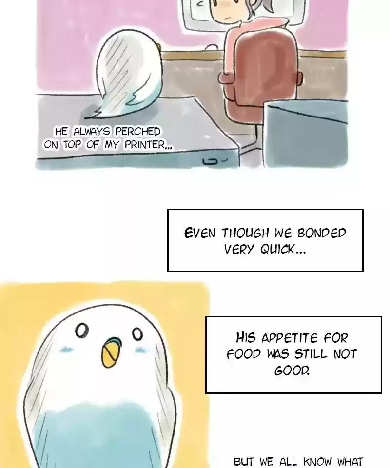 A Budgie's Life Chapter 56: Ep.56: