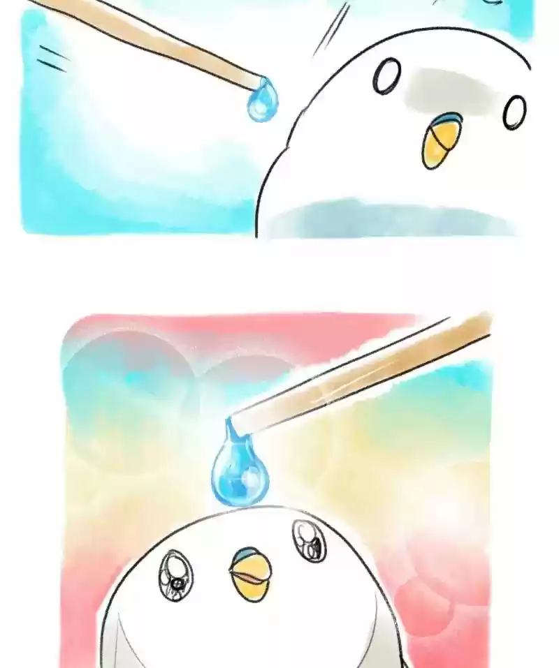 A Budgie's Life Chapter 56: Ep.56: