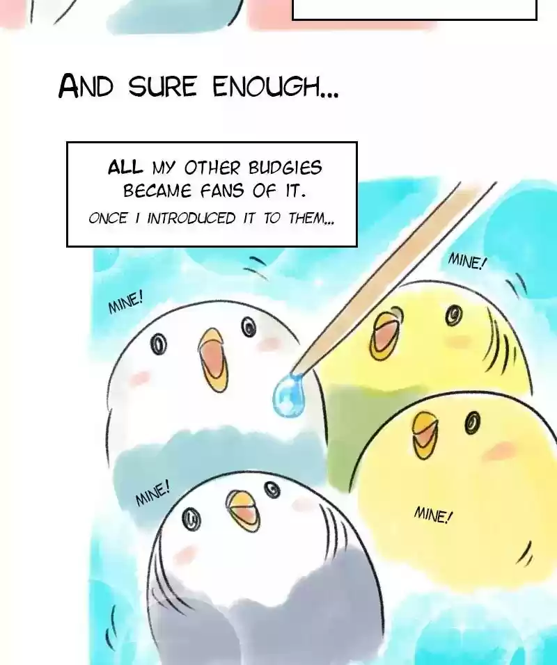 A Budgie's Life Chapter 56: Ep.56: