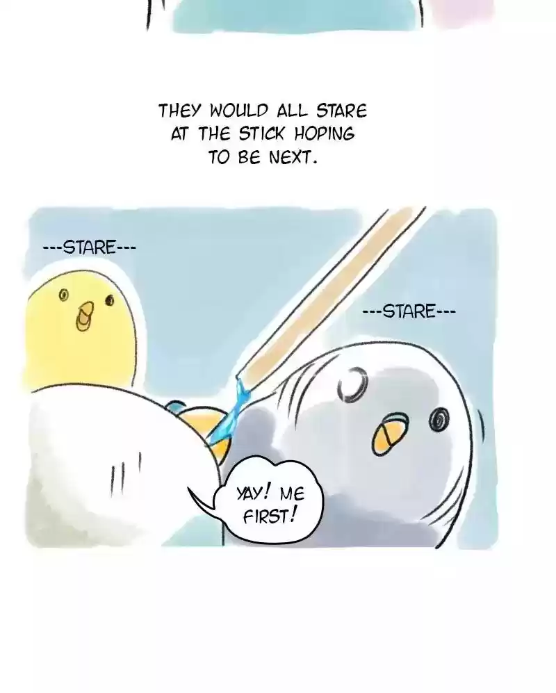 A Budgie's Life Chapter 56: Ep.56: