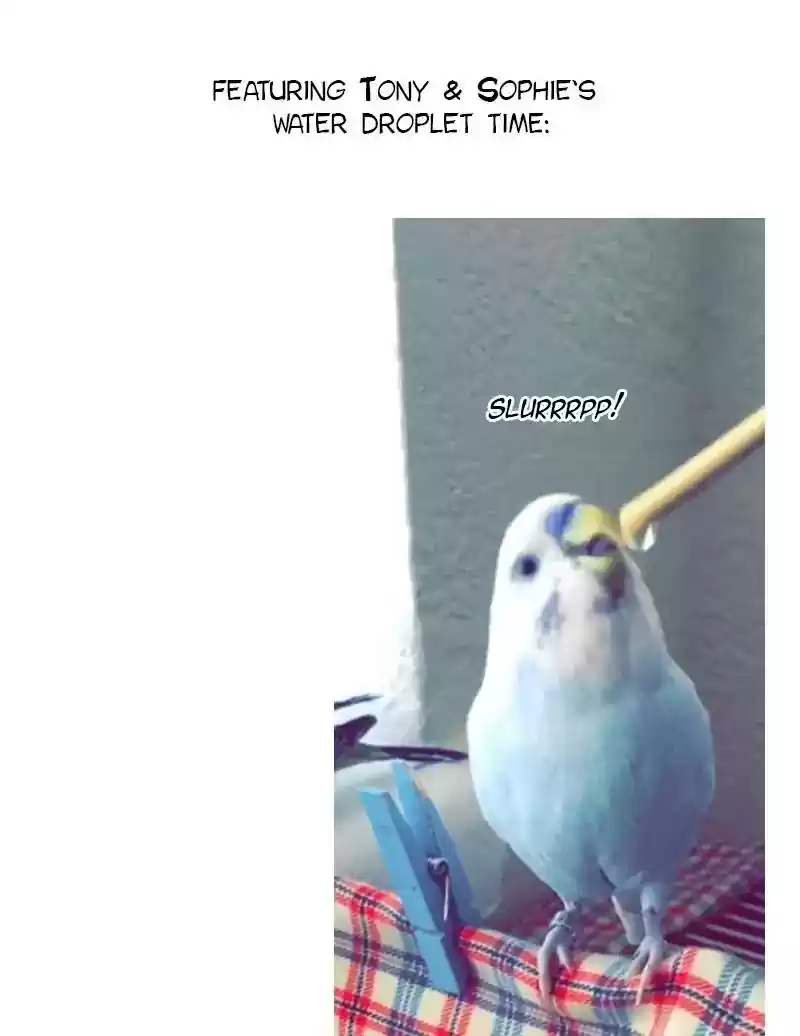 A Budgie's Life Chapter 56: Ep.56:
