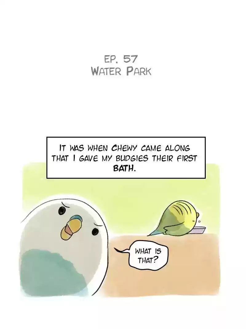 A Budgie's Life Chapter 57: Ep.57: