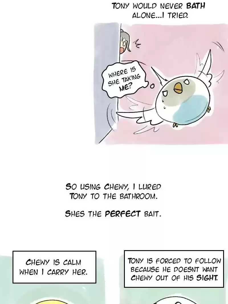 A Budgie's Life Chapter 57: Ep.57: