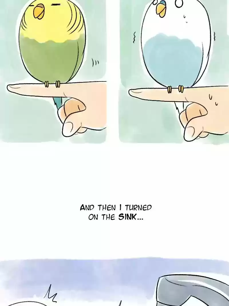 A Budgie's Life Chapter 57: Ep.57: