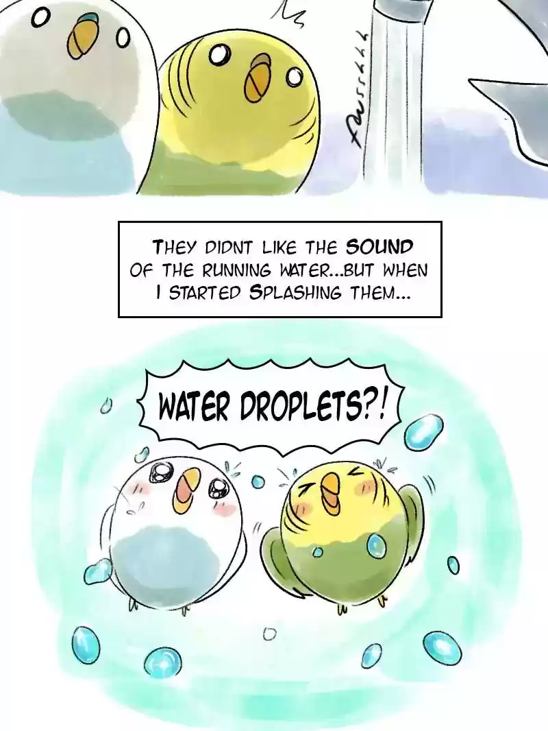 A Budgie's Life Chapter 57: Ep.57: