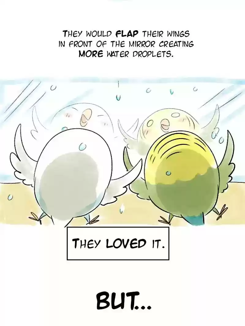 A Budgie's Life Chapter 57: Ep.57: