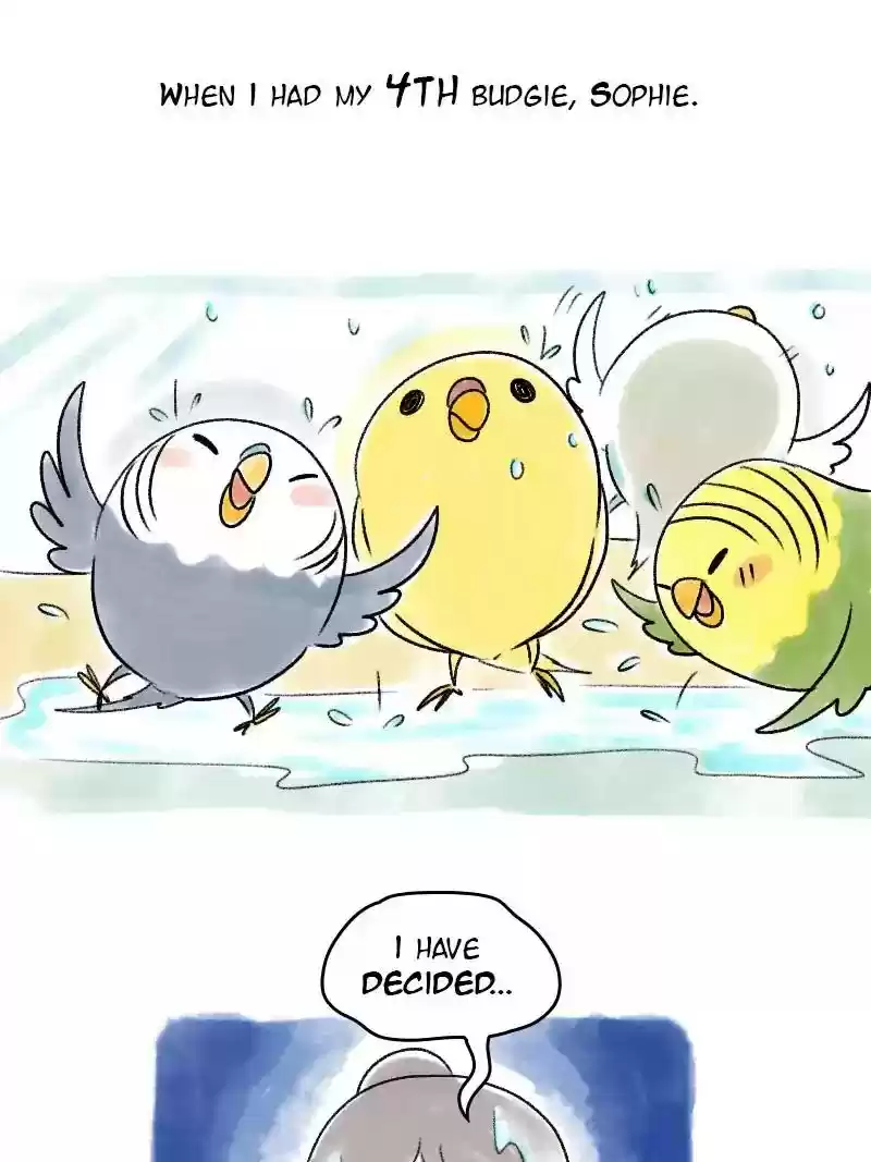 A Budgie's Life Chapter 57: Ep.57: