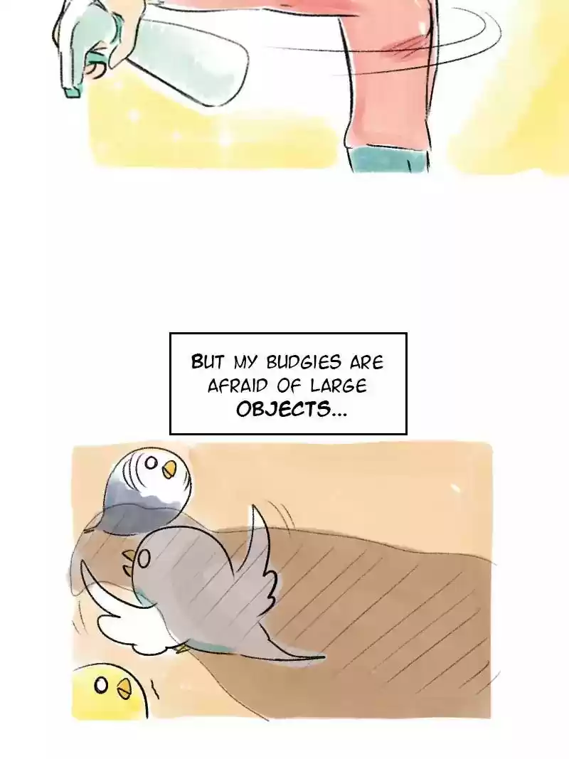 A Budgie's Life Chapter 57: Ep.57:
