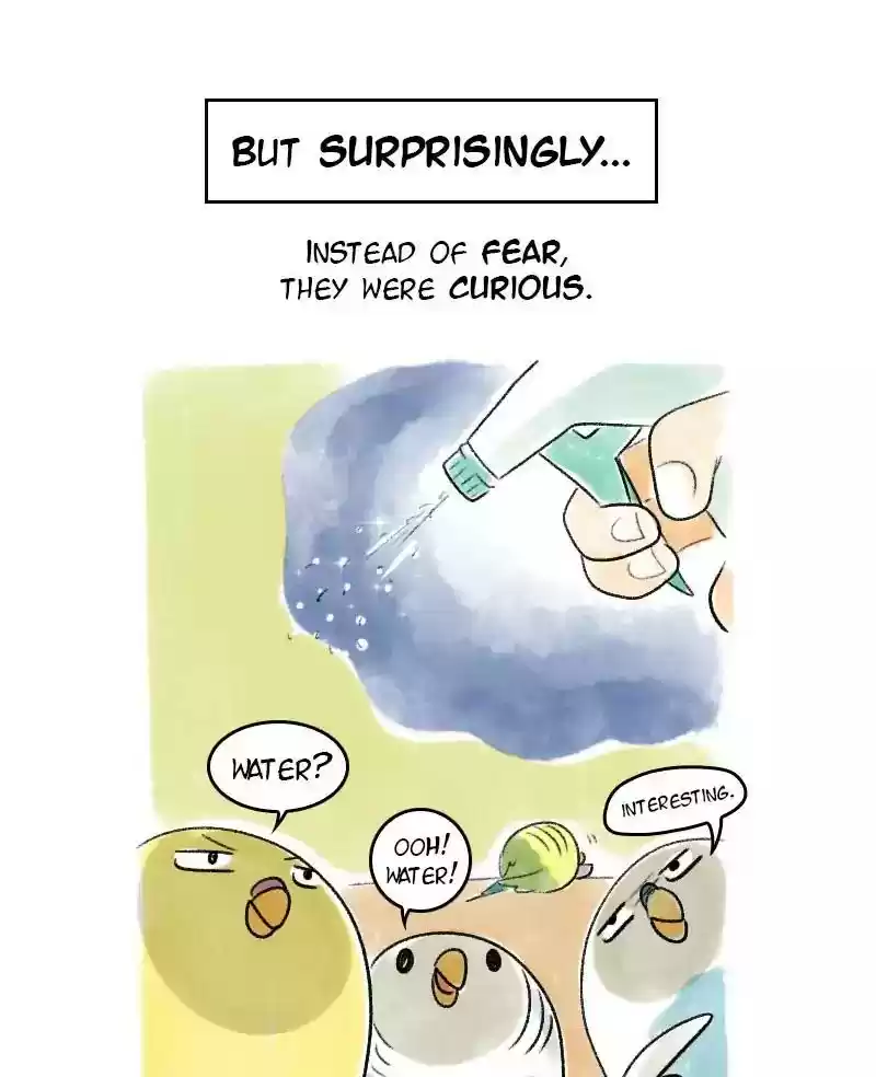 A Budgie's Life Chapter 57: Ep.57: