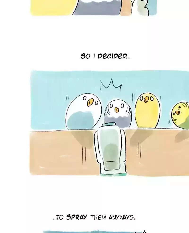 A Budgie's Life Chapter 57: Ep.57: