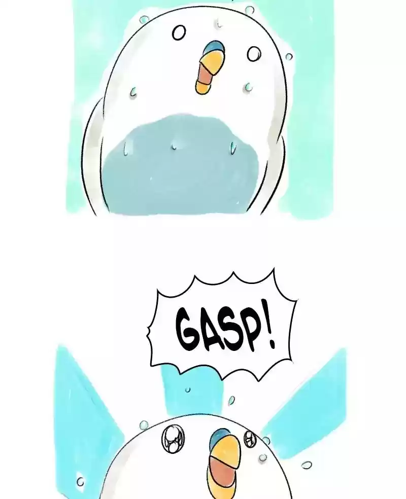 A Budgie's Life Chapter 57: Ep.57: