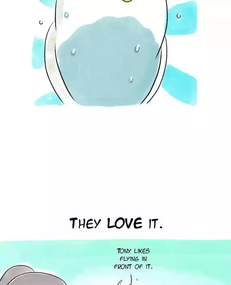 A Budgie's Life Chapter 57: Ep.57: