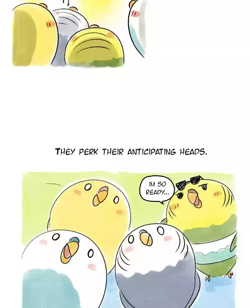 A Budgie's Life Chapter 57: Ep.57: