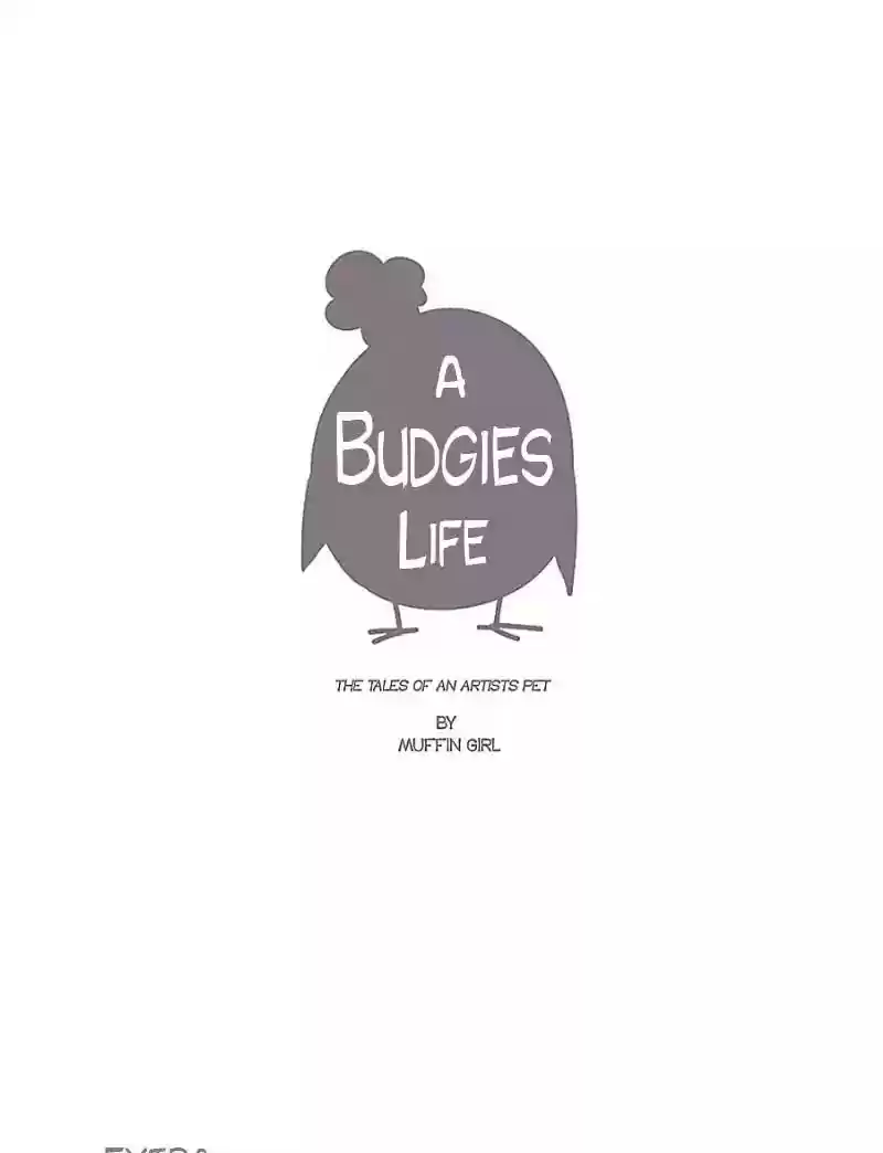A Budgie's Life Chapter 57: Ep.57: