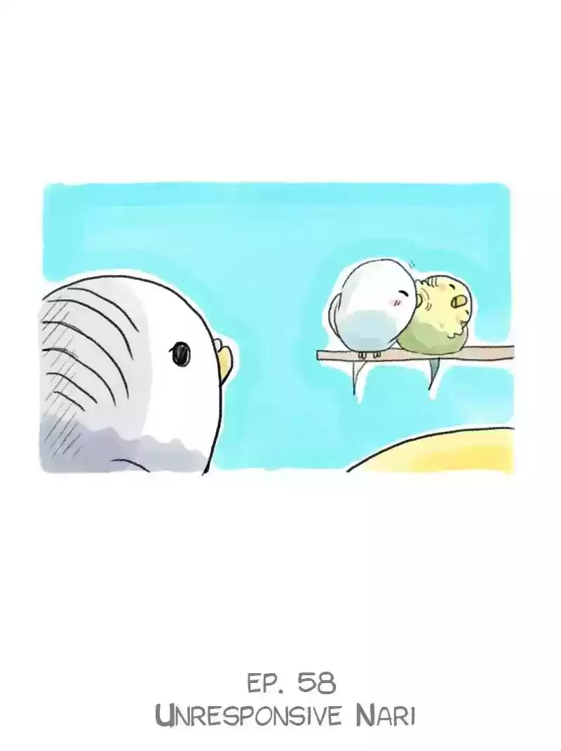 A Budgie's Life Chapter 58: Ep.58: