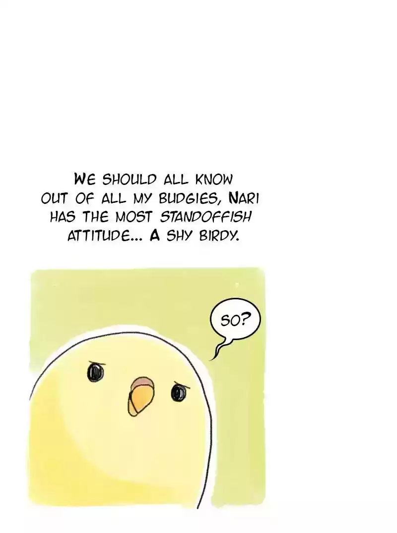 A Budgie's Life Chapter 58: Ep.58: