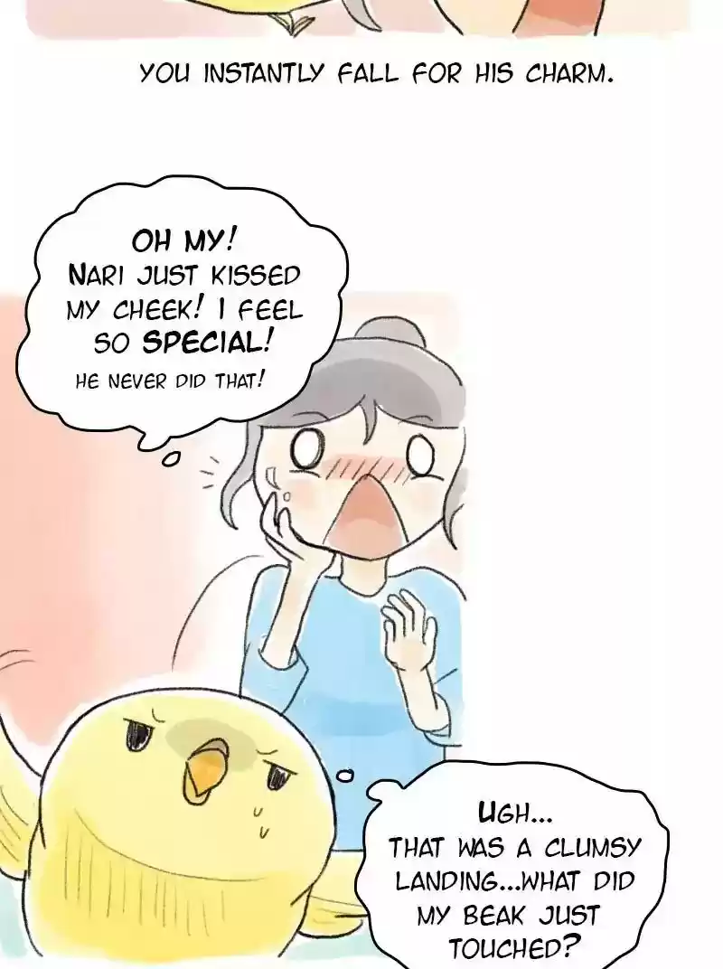 A Budgie's Life Chapter 58: Ep.58: