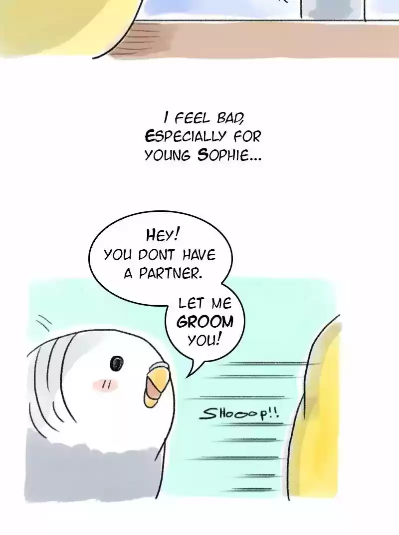A Budgie's Life Chapter 58: Ep.58:
