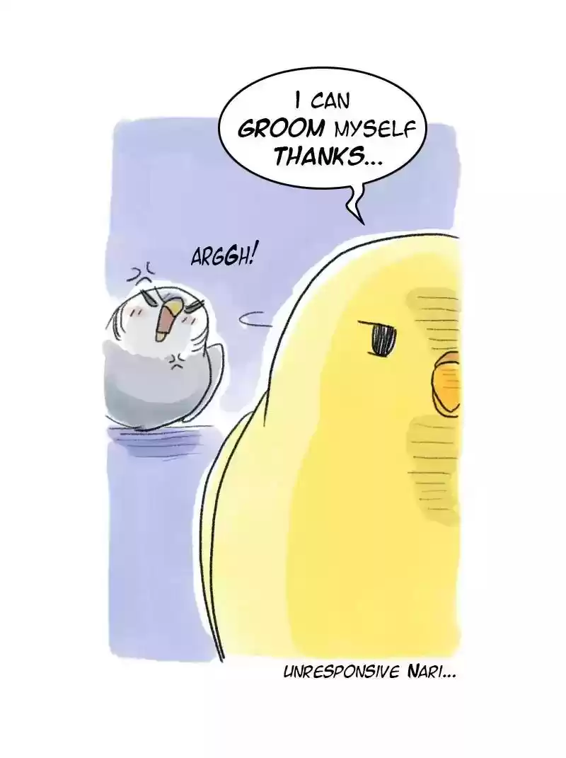 A Budgie's Life Chapter 58: Ep.58: