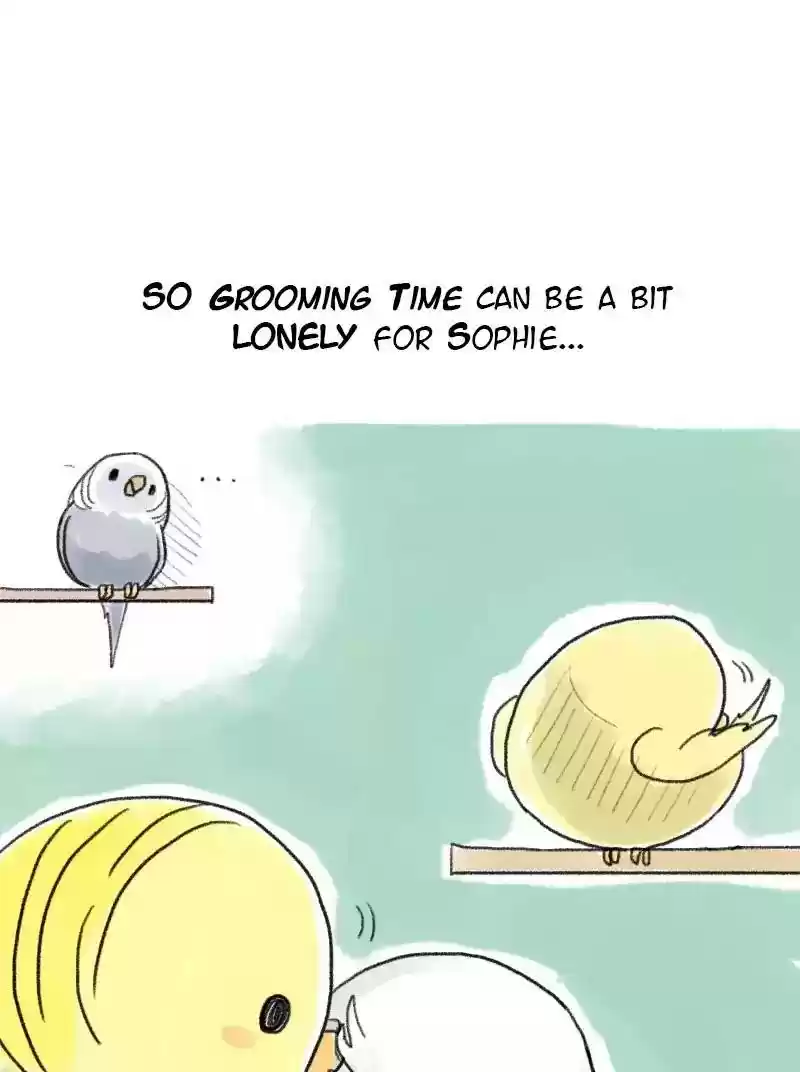 A Budgie's Life Chapter 58: Ep.58: