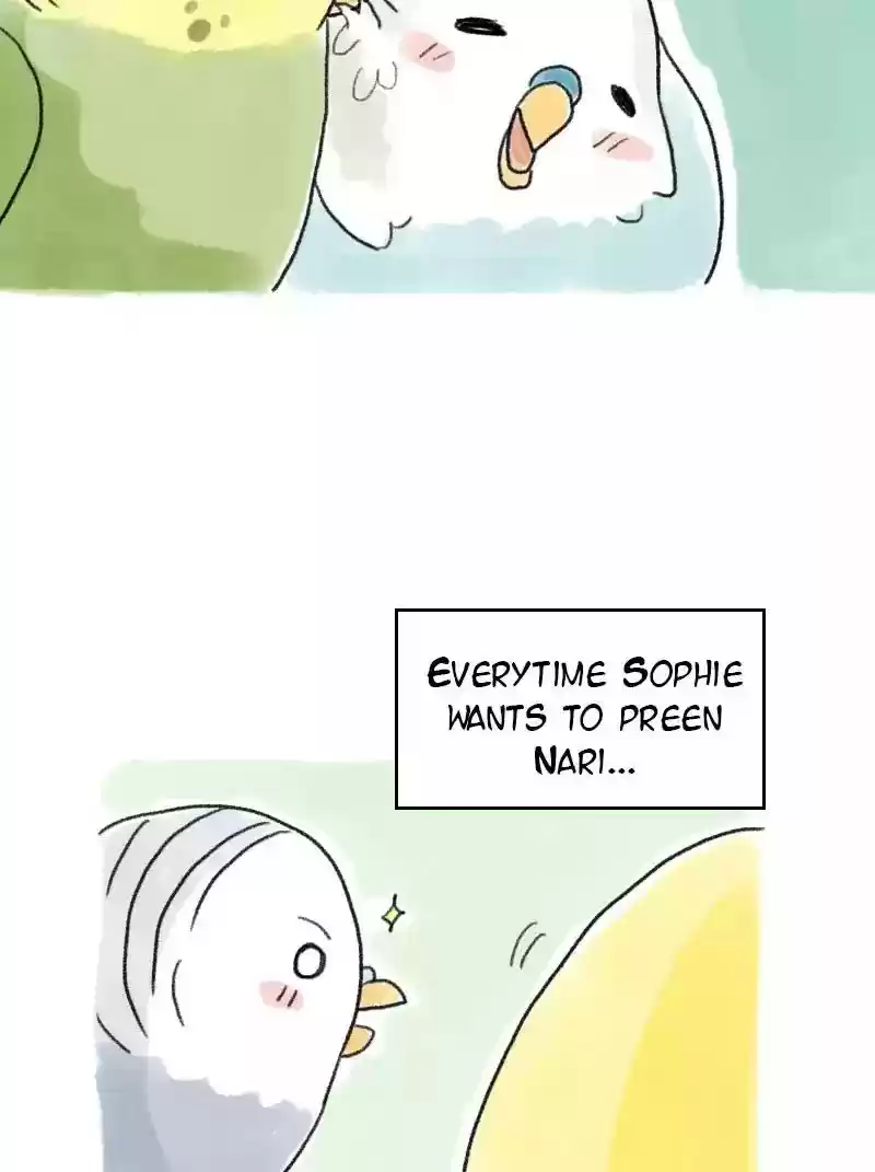 A Budgie's Life Chapter 58: Ep.58: