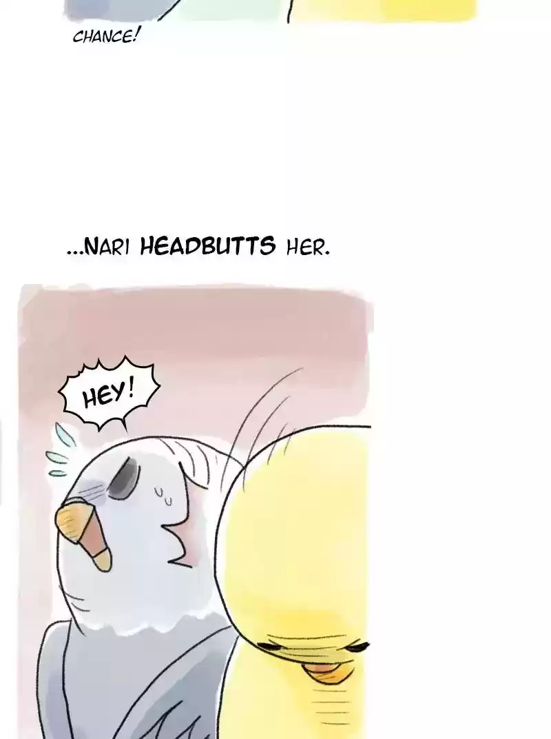 A Budgie's Life Chapter 58: Ep.58: