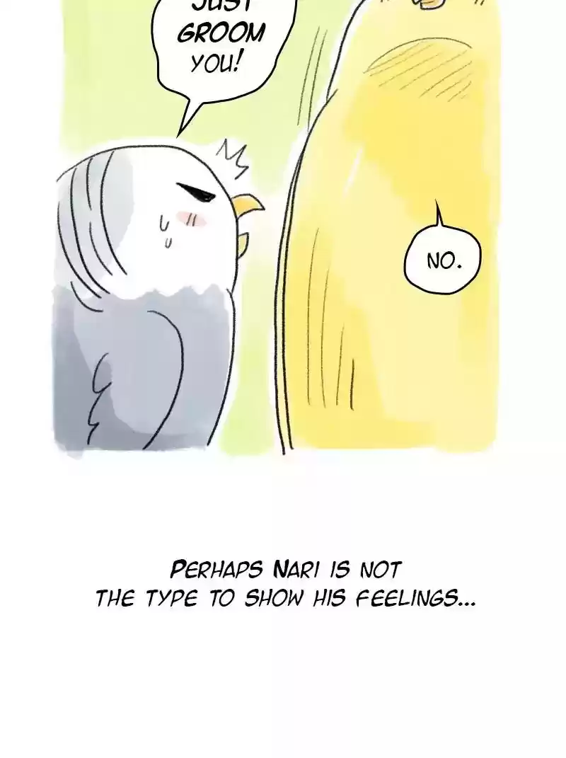 A Budgie's Life Chapter 58: Ep.58: