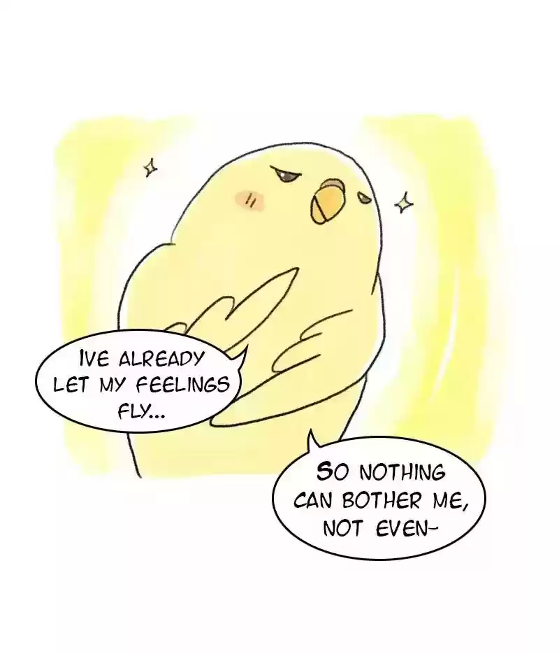 A Budgie's Life Chapter 58: Ep.58: