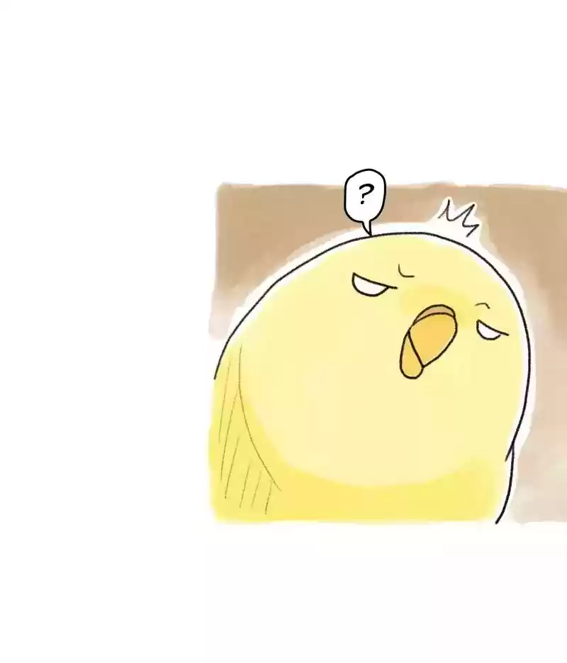 A Budgie's Life Chapter 58: Ep.58: