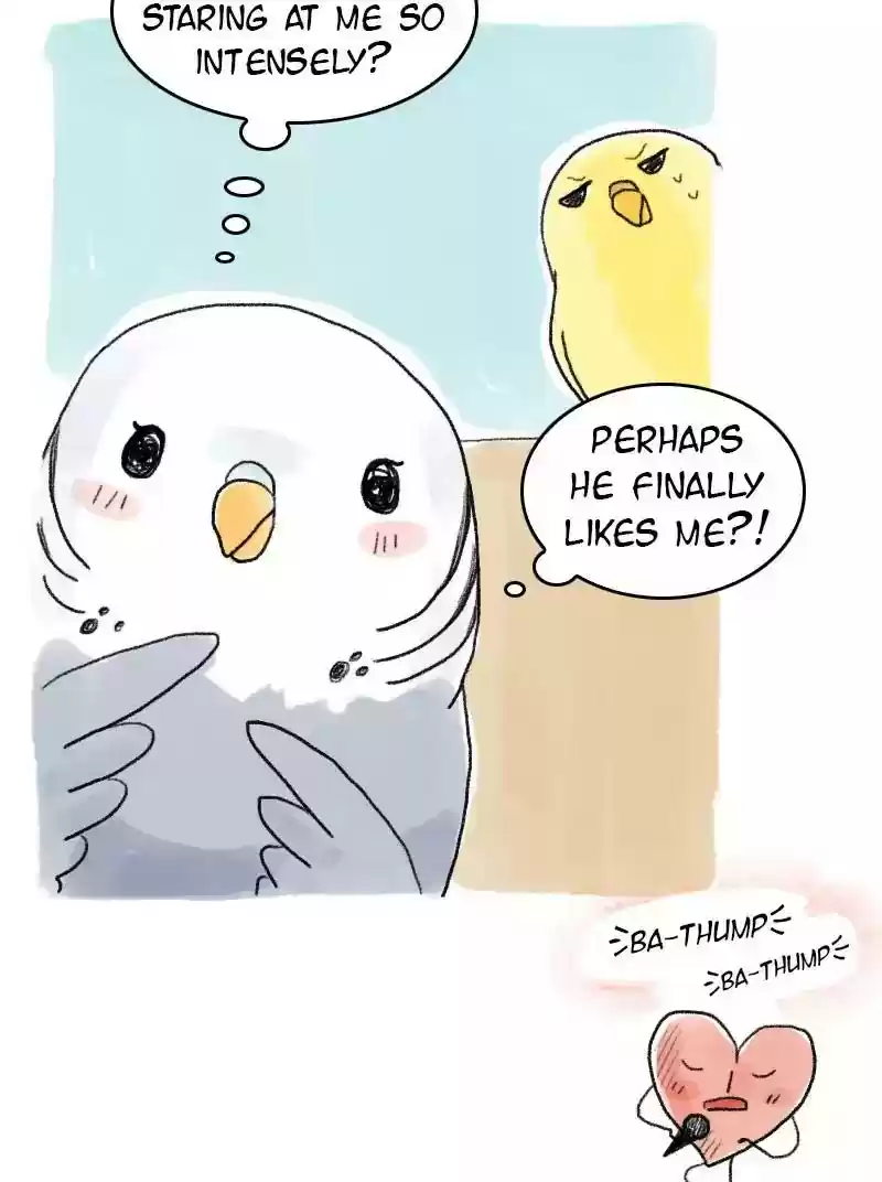 A Budgie's Life Chapter 59: Ep.59: