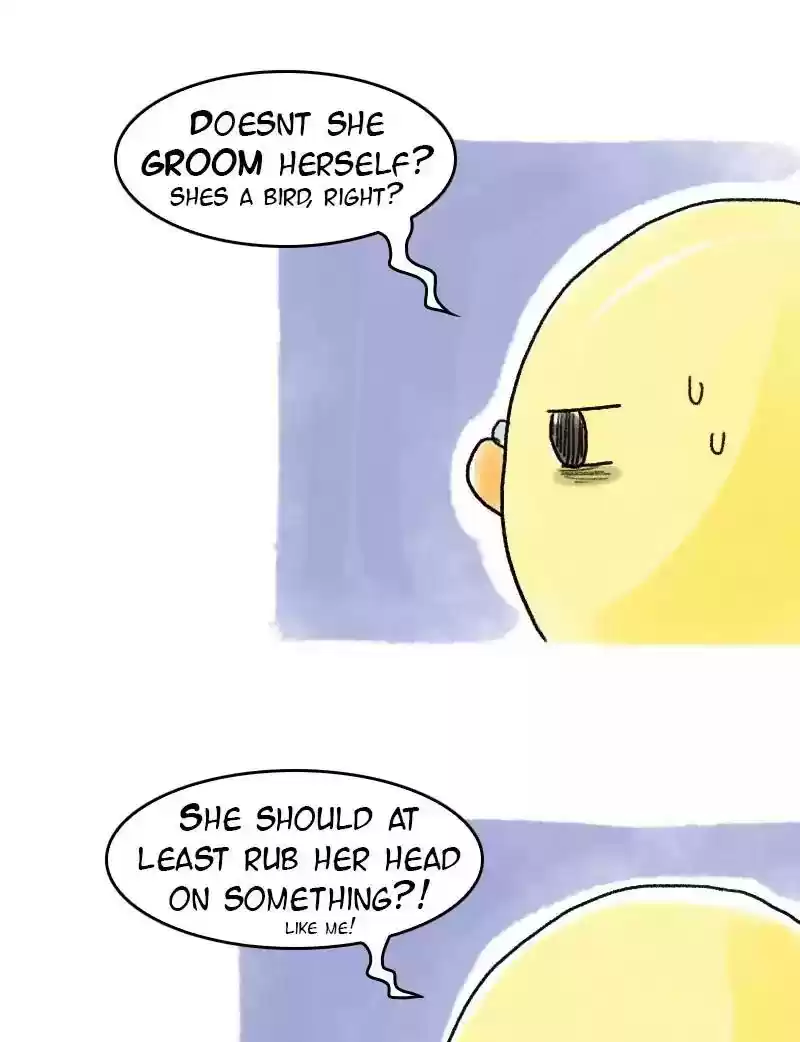 A Budgie's Life Chapter 59: Ep.59: